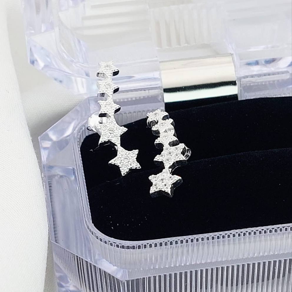 Aretes Escaladores Dama Plata 925 25217