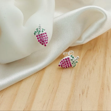 Aretes Dama Plata 925 25869