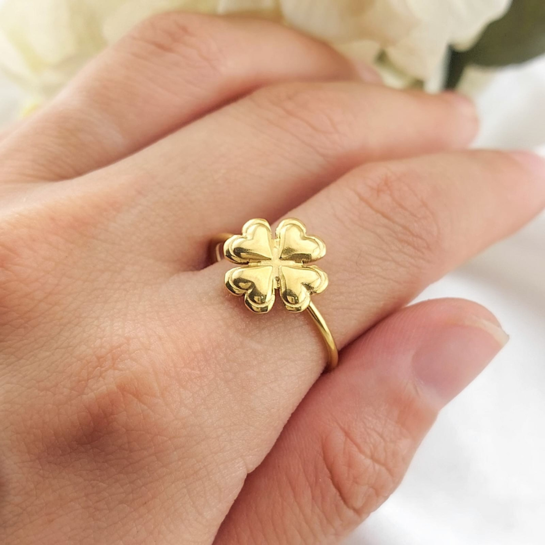 Anillo Dama Acero 24732x