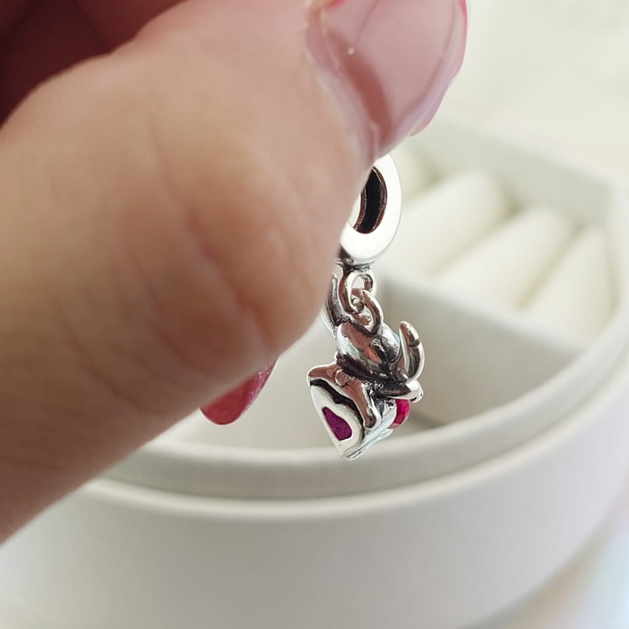 Dije Charm Plata 925 27084