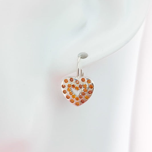 Aretes Plata 925 210000024807