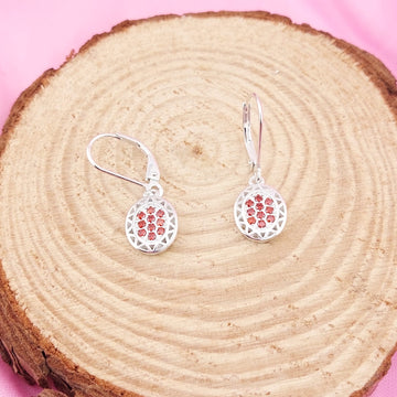 Aretes Plata 925 16338