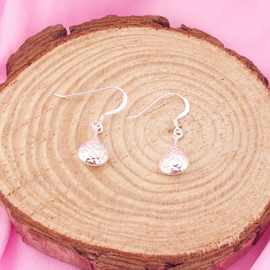 Aretes Gotas Largos 30mm Plata 925 27481