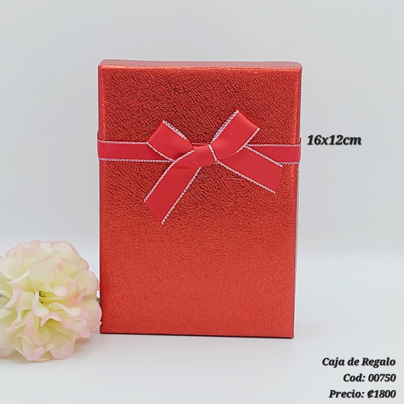 CAJA DE REGALO 16x12CM 801012