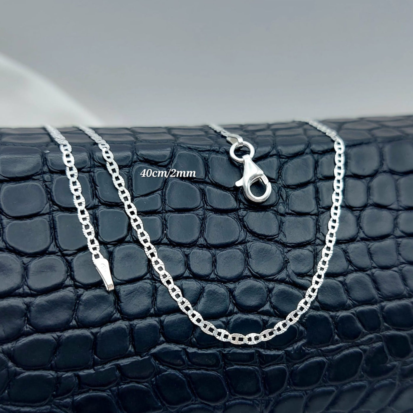Cadena Gucci 40CM/2mm Plata 925 210000024517v