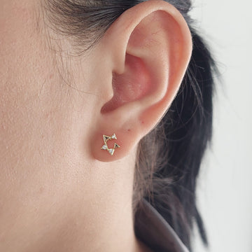 Aretes Laminado 210000013657x