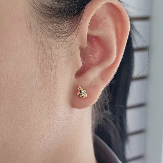 Aretes Laminado 56939581078657v