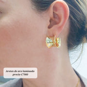 Aretes Laminados 210000018766