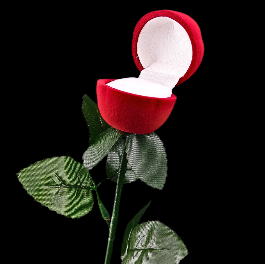 CAJA REGALO ROSA CON TALLO 210000001519