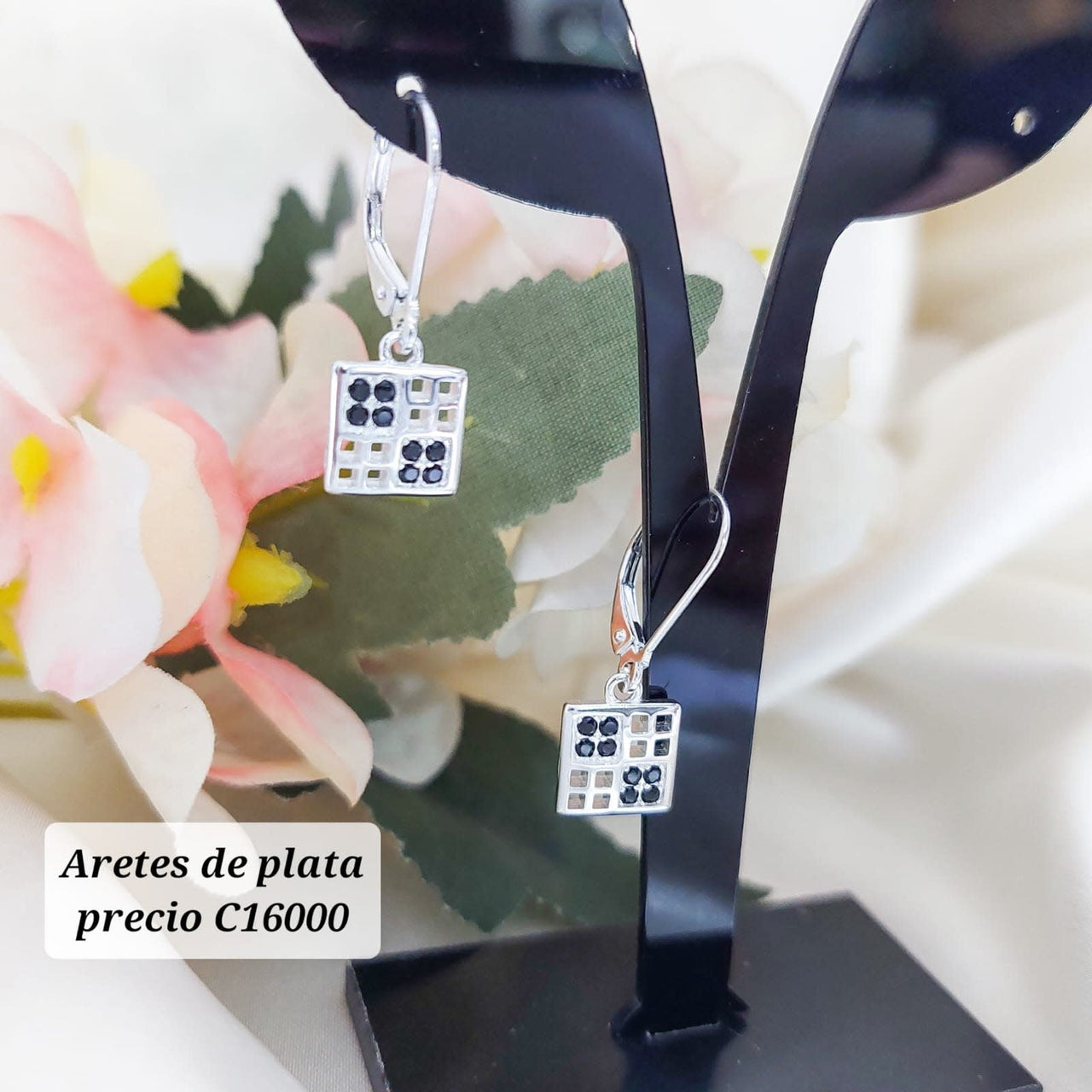 Aretes Plata 925 210000024538